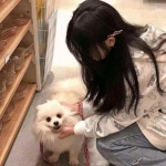 永恒王座内购破解版下载